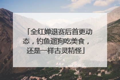 全红婵退赛后首更动态，钓鱼遛狗吃美食，还是一样古灵精怪