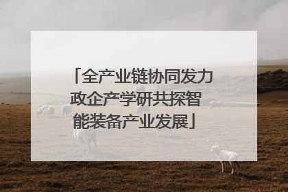 全产业链协同发力 政企产学研共探智能装备产业发展