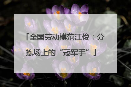 全国劳动模范汪俊：分拣场上的“冠军手”