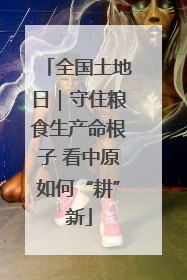 全国土地日｜守住粮食生产命根子 看中原如何“耕”新