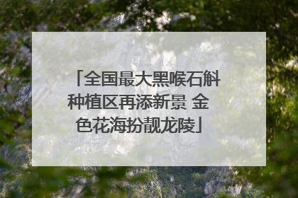 全国最大黑喉石斛种植区再添新景 金色花海扮靓龙陵