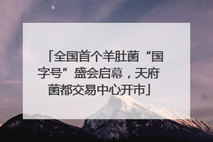 全国首个羊肚菌“国字号”盛会启幕，天府菌都交易中心开市