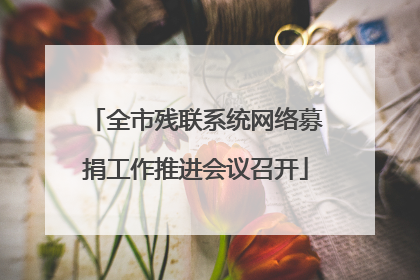 全市残联系统网络募捐工作推进会议召开