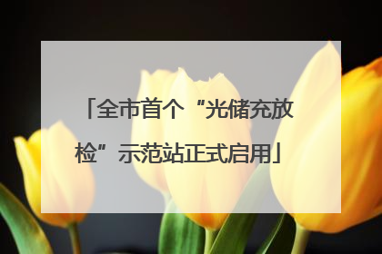 全市首个“光储充放检”示范站正式启用