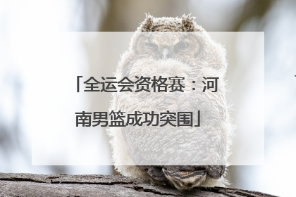 全运会资格赛：河南男篮成功突围