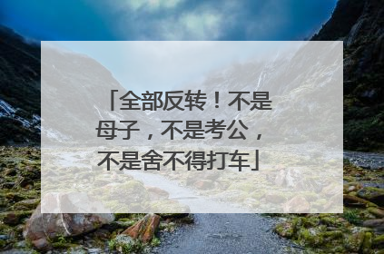 全部反转！不是母子，不是考公，不是舍不得打车