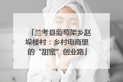 兰考县葡萄架乡赵垛楼村：乡村电商里的“甜蜜”创业路