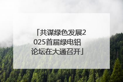 共谋绿色发展2025首届绿电铝论坛在大通召开