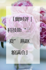 冀时评｜科技助“三夏” 燕赵粮满仓
