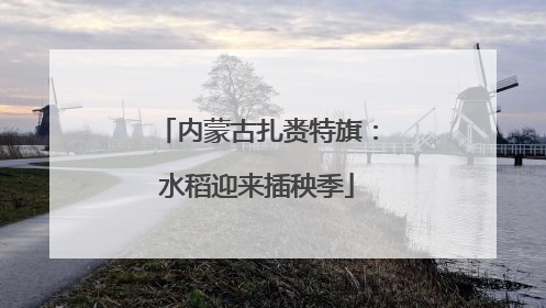 内蒙古扎赉特旗：水稻迎来插秧季