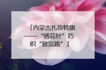 内蒙古扎鲁特旗——“绣花针”巧织“致富路”