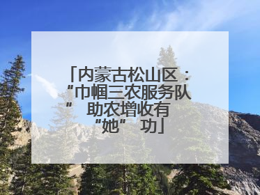 内蒙古松山区：“巾帼三农服务队” 助农增收有 “她” 功