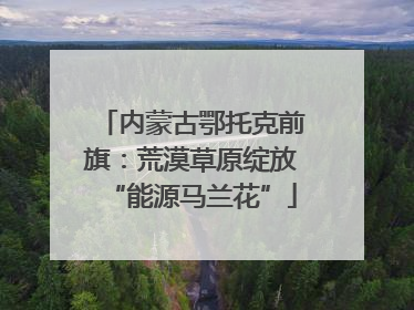 内蒙古鄂托克前旗：荒漠草原绽放“能源马兰花”