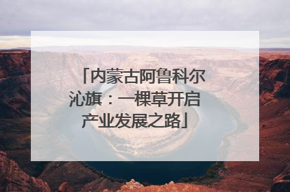 内蒙古阿鲁科尔沁旗：一棵草开启产业发展之路