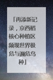 再添新记录，京西稻核心种植区频现世界极危与濒危鸟种