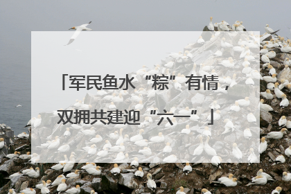 军民鱼水“粽”有情，双拥共建迎“六一”