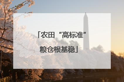 农田“高标准” 粮仓根基稳