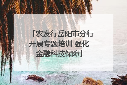 农发行岳阳市分行开展专题培训 强化金融科技保障