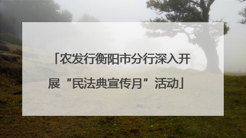 农发行衡阳市分行深入开展“民法典宣传月”活动