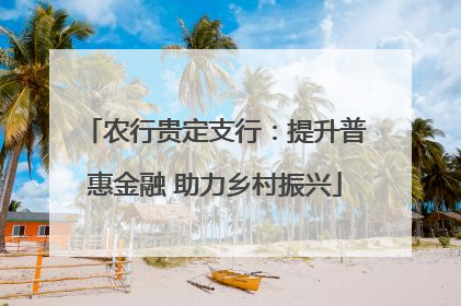 农行贵定支行：提升普惠金融 助力乡村振兴