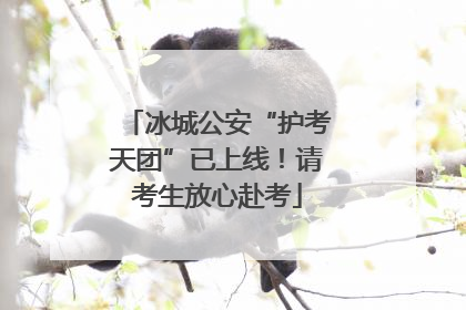 冰城公安“护考天团”已上线！请考生放心赴考