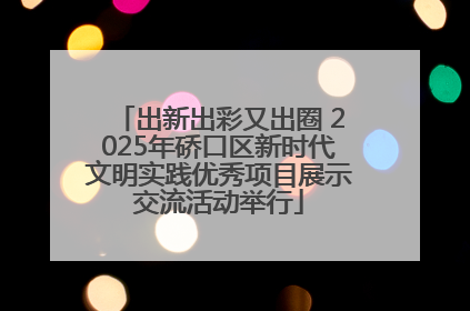 出新出彩又出圈 2025年硚口区新时代文明实践优秀项目展示交流活动举行