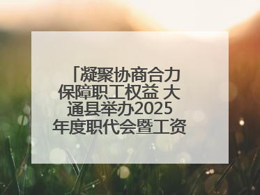 凝聚协商合力 保障职工权益 大通县举办2025年度职代会暨工资集体协商现场观摩交流活动