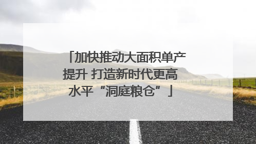 加快推动大面积单产提升 打造新时代更高水平“洞庭粮仓”