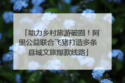 助力乡村旅游破圈！阿里公益联合飞猪打造多条县域文旅爆款线路