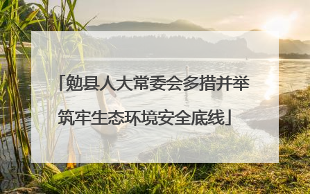 勉县人大常委会多措并举筑牢生态环境安全底线