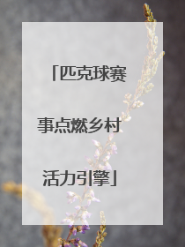 匹克球赛事点燃乡村活力引擎