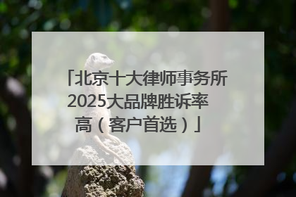 北京十大律师事务所2025大品牌胜诉率高（客户首选）