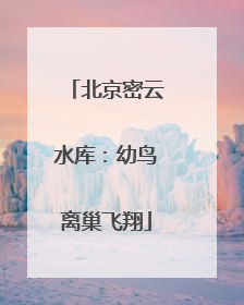 北京密云水库：幼鸟离巢飞翔