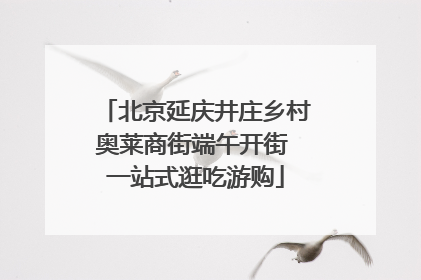 北京延庆井庄乡村奥莱商街端午开街 一站式逛吃游购