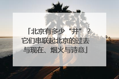 北京有多少“井”？它们串联起北京的过去与现在、烟火与诗意