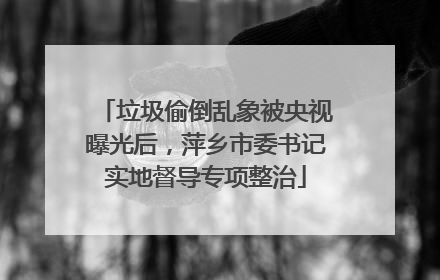 垃圾偷倒乱象被央视曝光后，萍乡市委书记实地督导专项整治