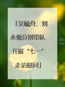 吴毓舟、刘永强分别带队开展“七一”走访慰问