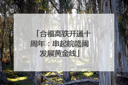 合福高铁开通十周年：串起皖赣闽发展黄金线