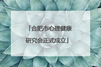 合肥市心理健康研究会正式成立