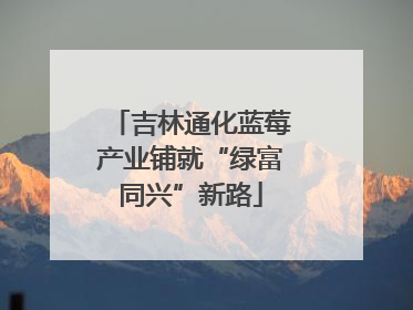 吉林通化蓝莓产业铺就“绿富同兴”新路