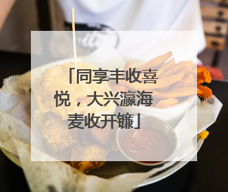 同享丰收喜悦，大兴瀛海麦收开镰