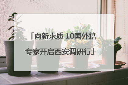 向新求质 10国外籍专家开启西安调研行