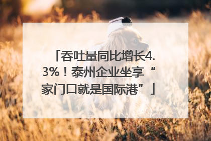 吞吐量同比增长4.3%！泰州企业坐享“家门口就是国际港”
