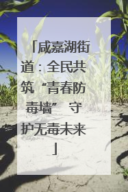 咸嘉湖街道：全民共筑“青春防毒墙” 守护无毒未来