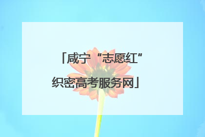 咸宁“志愿红”织密高考服务网