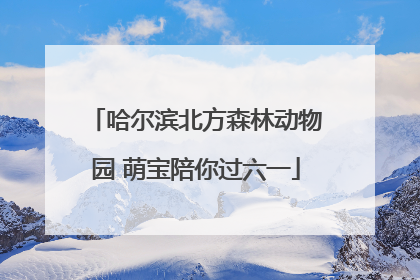 哈尔滨北方森林动物园 萌宝陪你过六一