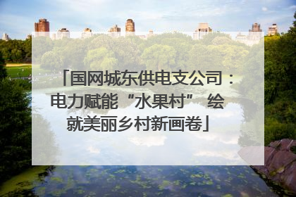 国网城东供电支公司：电力赋能“水果村” 绘就美丽乡村新画卷