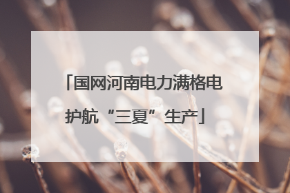 国网河南电力满格电护航“三夏”生产