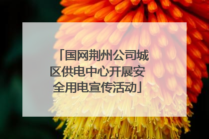 国网荆州公司城区供电中心开展安全用电宣传活动