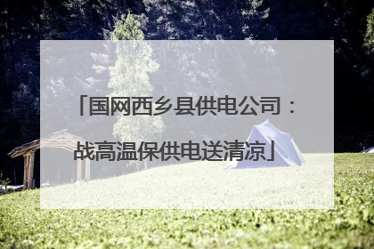 国网西乡县供电公司：战高温保供电送清凉